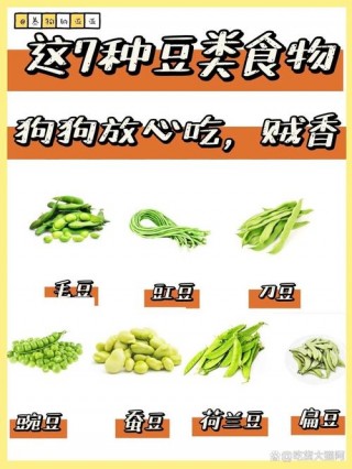 狗狗可以吃豇豆吗，（狗狗能吃豇豆角吗）