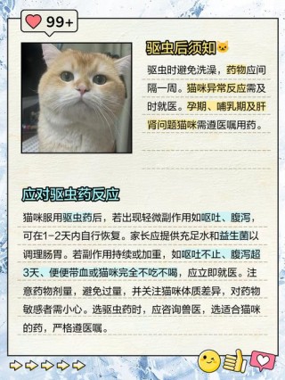 猫咪吃完驱虫药的反应，猫咪吃完驱虫药的反应大吗？