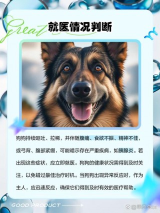 狗狗拉稀呕吐怎么办，狗狗拉稀呕吐是什么病？