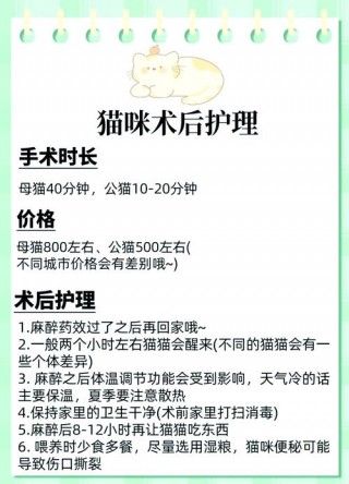 猫咪多久可以绝育，（猫咪多久绝育好）