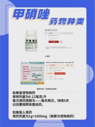 猫咪可以吃人吃的药吗，（猫能吃人的药吗）