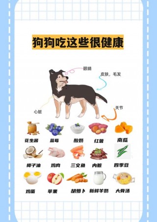狗狗能吃甜的东西吗，狗狗能吃甜食东西吗？