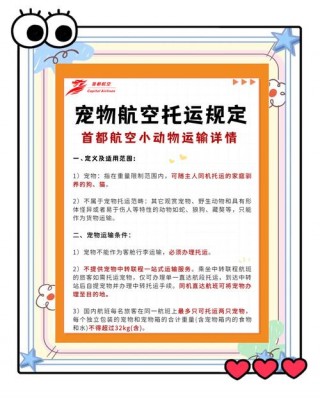 狗狗可以飞机托运吗？狗狗能不能飞机托运（最新）