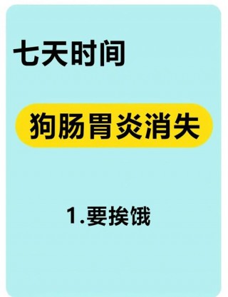 狗狗肠胃炎有什么症状，（狗狗肠胃炎有什么症状吃什么药）