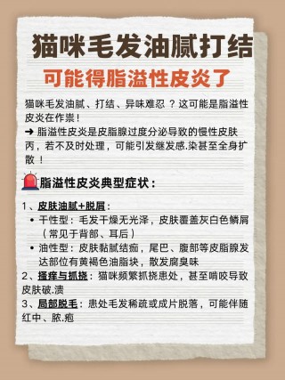 猫咪皮炎怎么治疗，猫咪皮炎怎么治疗好得快？
