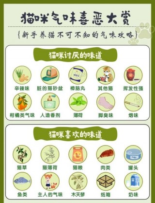 猫咪喜欢什么味道，猫咪最怕什么味道不敢靠近？