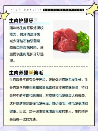 猫咪可以吃生牛肉吗，（宠物猫可以吃生牛肉吗?）
