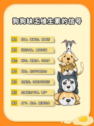 狗狗缺维生素的症状？狗狗缺乏维生素应该吃些什么（最新）