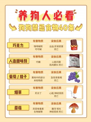 狗狗不爱吃东西怎么办，狗不愿吃东西？