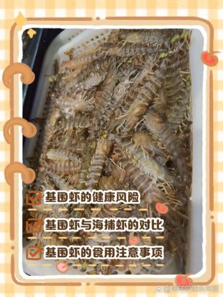 猫咪可以吃基围虾吗，猫咪吃基围虾可以连壳一起吃吗？