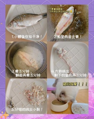 猫咪鱼汤怎么做？猫咪鱼汤怎么做的（最新）