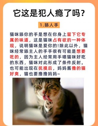 猫咪老是甩头怎么回事，（猫猫为什么老甩头）