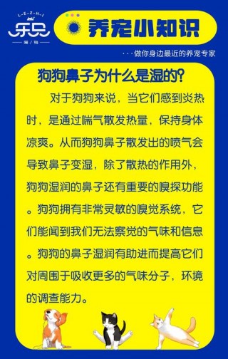 狗狗鼻子不湿润怎么办？狗狗鼻子不湿润怎么办小妙招（最新）