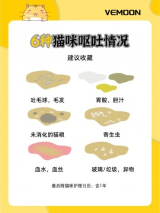猫咪吐了一堆黄东西？猫咪吐了黄色粘稠物（最新）