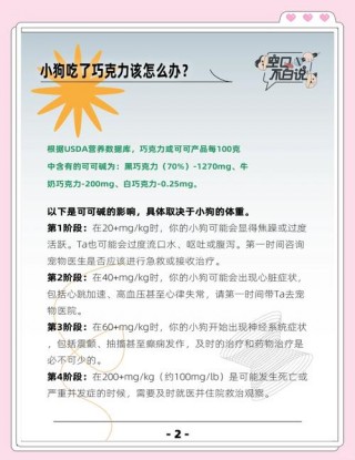 狗狗吃了巧克力会怎样，（狗狗吃了巧克力有什么反应）