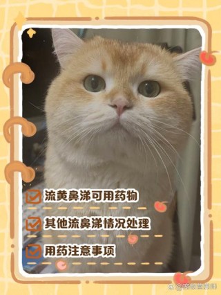 猫咪打喷嚏喷出黄鼻涕，（猫咪打喷嚏喷出黄鼻涕是猫鼻支吗）