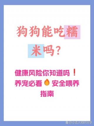 狗狗可以吃糯米饭吗，狗可以吃糯米吗?？
