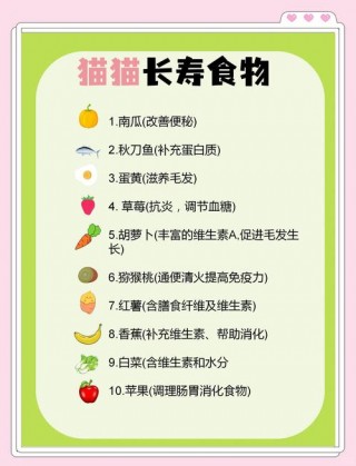 猫咪可以吃甜食吗，（猫能否吃甜食）