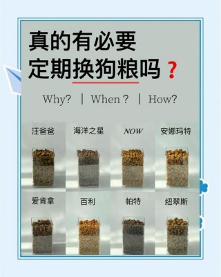 狗狗可以经常换狗粮吗，狗狗可以一直换狗粮吗？