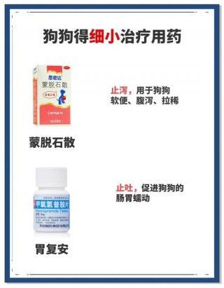 狗狗得细小病毒怎么治？狗狗得细小病毒怎么治疗（最新）