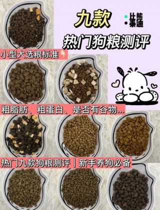 4个月狗狗吃多少狗粮，（四个月狗狗喂多少克狗粮）