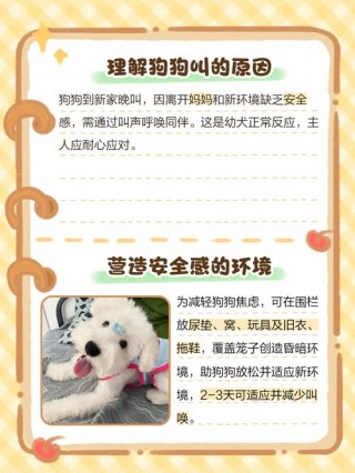 狗狗到新家一直叫怎么办，（幼犬一般几天认主人）