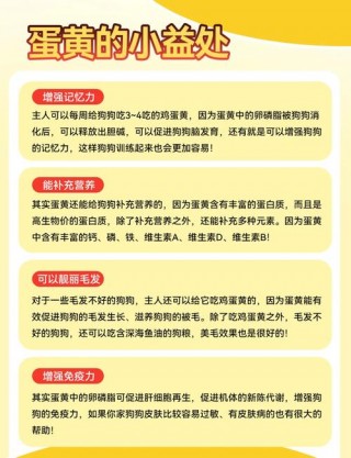 狗狗吃鸡蛋好不好，狗吃 鸡蛋？