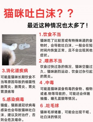 猫咪口吐白沫的原因？猫咪口吐白沫的原因但是很精神（最新）