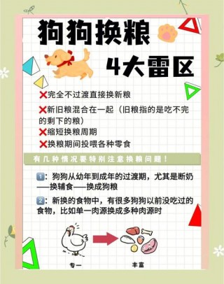 狗狗换粮拉稀要停食吗，（狗狗因为换狗粮导致的拉稀可以吃什么）