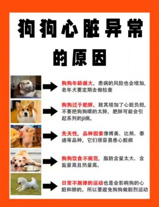 狗狗得了心脏病怎么办，狗狗心脏病发作能救回来吗？