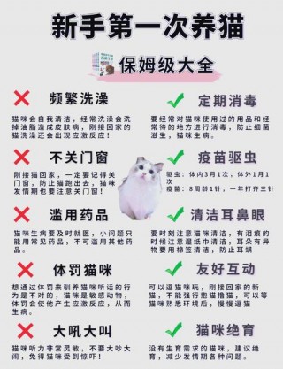 猫咪多长时间洗一次澡，（给猫咪洗澡的正确方法）