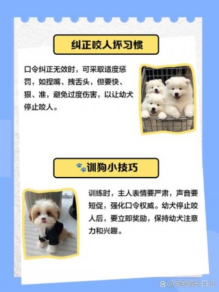 狗狗护食咬人怎么办，（狗狗护食咬人的原因）