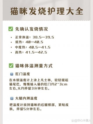 猫咪体温低怎么办，（猫咪体温低是否就没救了）