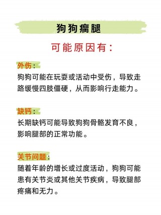 狗狗瘸了可以自己好吗，狗瘸了会好吗？