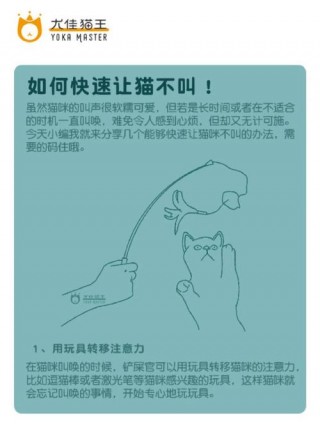 怎样才能让猫咪不叫，（怎么样能让猫不叫）