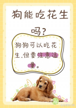 花生狗狗可以吃吗，（花生狗狗可以吃吗有毒吗）