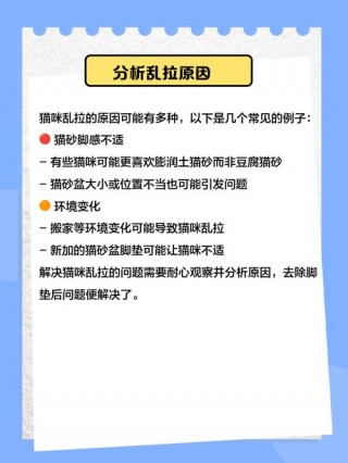 猫猫随地大小便？猫猫随地大小便怎么办（最新）
