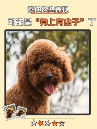 狗狗身上有虫的表现，（狗狗身上有虫的表现图片）