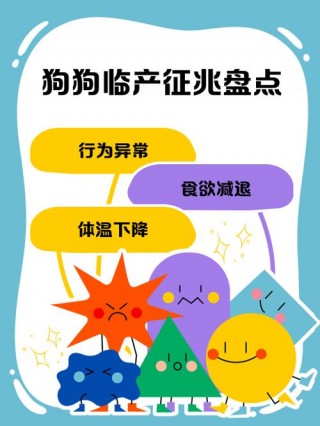 狗狗分娩前的症状，狗狗分娩前的症状是什么？