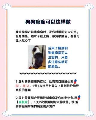 狗狗癫疯怎么处理？狗狗癫疯病的早期症状（最新）