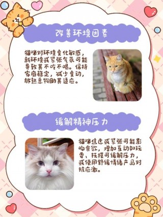 猫咪抑郁了怎么办，猫咪抑郁了会怎样？