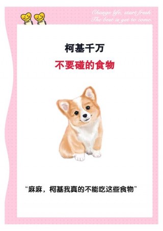 狗狗可以吃黄皮吗，狗狗可以吃黄皮肉吗？