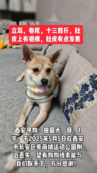 狗狗能吃黄豆吗，狗能吃黄豆不？