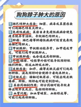 狗狗颈椎病的症状，狗狗颈椎不好怎么办？