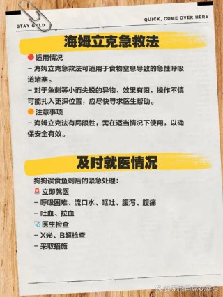 狗狗吃了鱼刺怎么软化，（狗狗吃了鱼刺卡在喉咙怎么办）