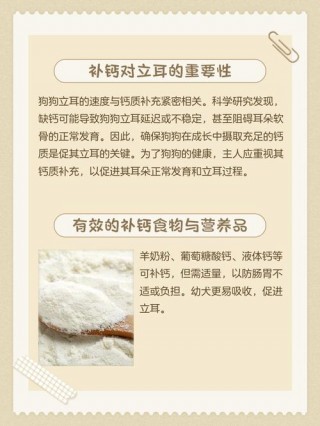 怎么给狗狗立耳，怎么给狗狗立耳视频？