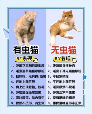 猫咪吃驱虫药注意事项？猫咪吃驱虫药注意事项和禁忌（最新）