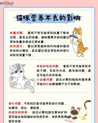 猫咪营养不良怎么办，（猫咪营养不良怎么办吃什么药）