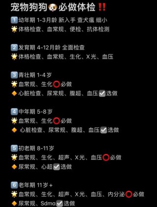 狗狗crp高是什么原因，（狗狗canine crp高怎么回事）