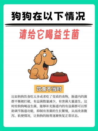 狗狗拉肚子可以吃益生菌吗？狗拉肚子喂益生菌可以吗（最新）